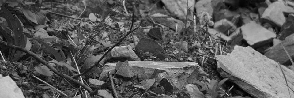 NordLabel's profile banner image