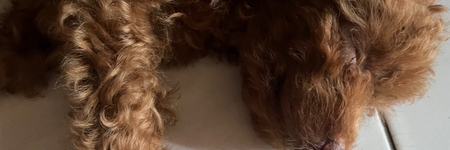 bintaanglestari's profile banner image