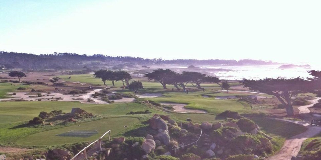 Chris Williams banner