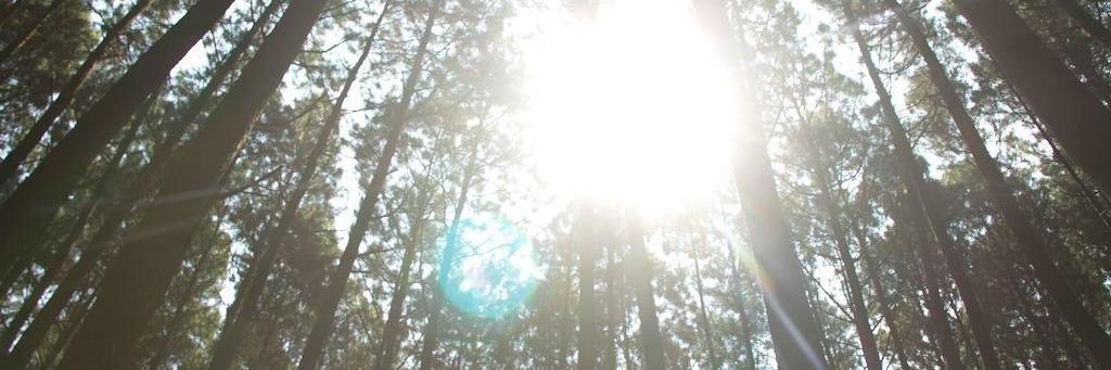 tamasyeah's profile banner image