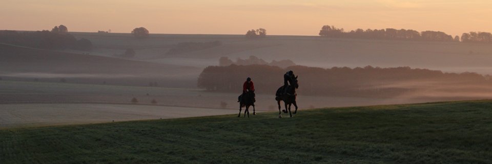 Gary_Puffett's profile banner image