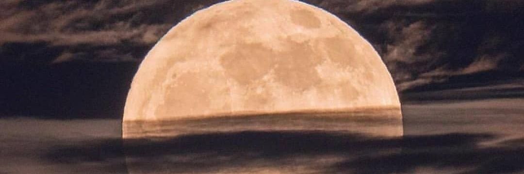 MiliFernande07's profile banner image