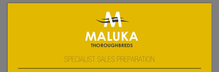 Maluka Thoroughbreds banner