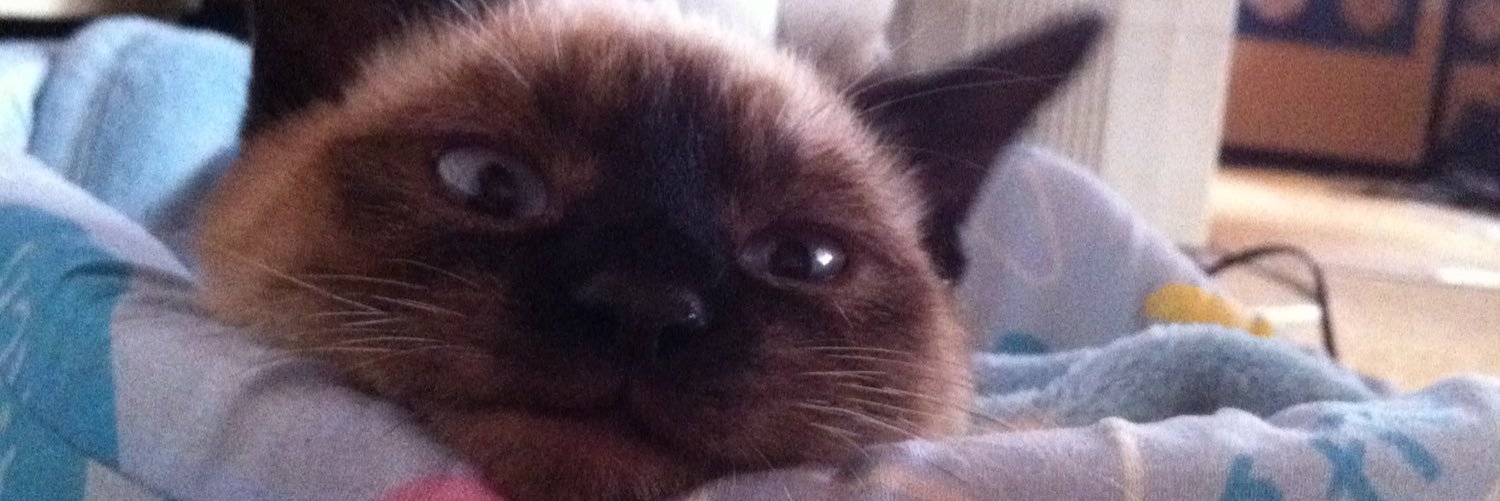 シリカゲル banner