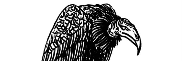 deerock111's profile banner image
