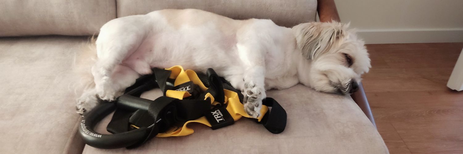 Soroush Moosapour banner