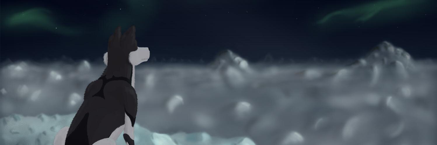 huscitus's profile banner image