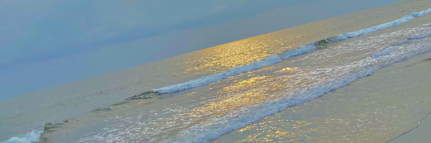 zlatane14's profile banner image