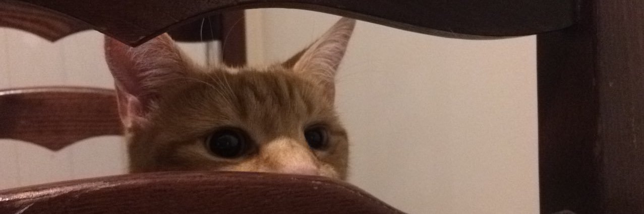 ellelews's profile banner image