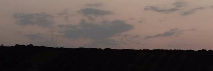 kokmariant2's profile banner image