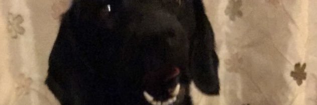Duffwaa's profile banner image