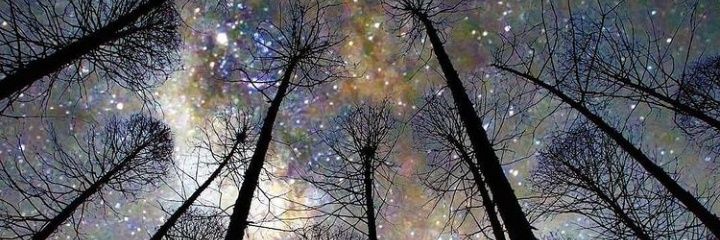 dsyeptr_'s profile banner image