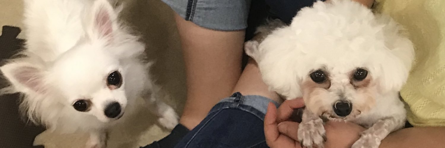 なっちゃんヽ(´ー｀)ノ banner