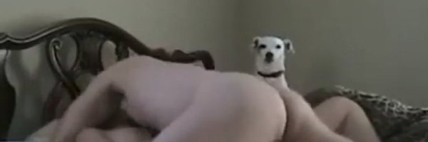 cottonsmuggler Profile Banner