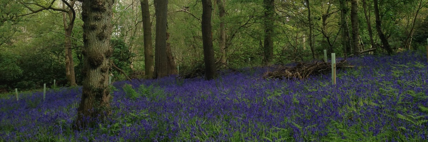 JaneMClarke's profile banner image