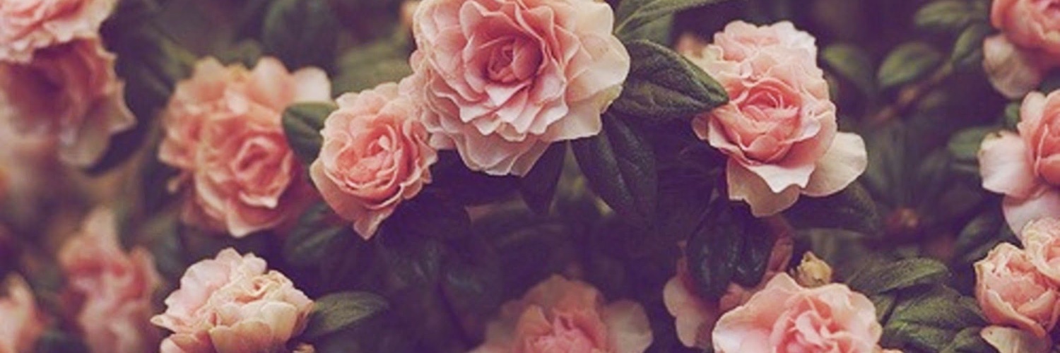 freewind98's profile banner image