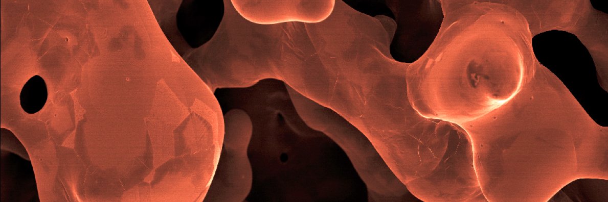 Nicole Grobert banner