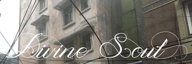 ash banner