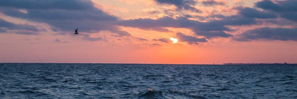 a_staceys's profile banner image