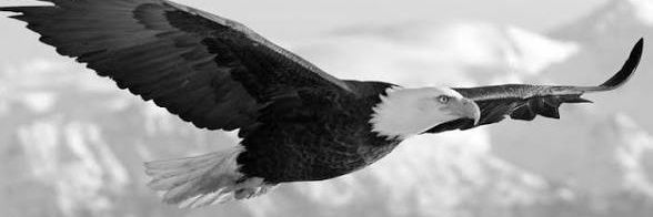 EightFiguresSol banner