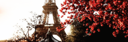 AIluringChaos's profile banner image