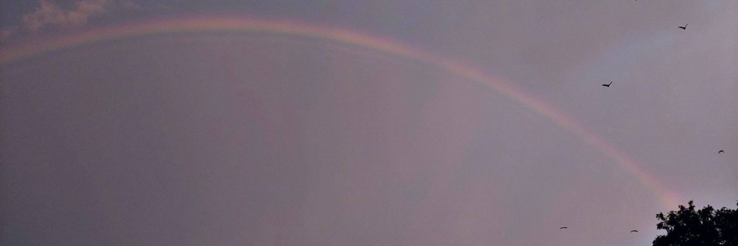 vimalcr07's profile banner image
