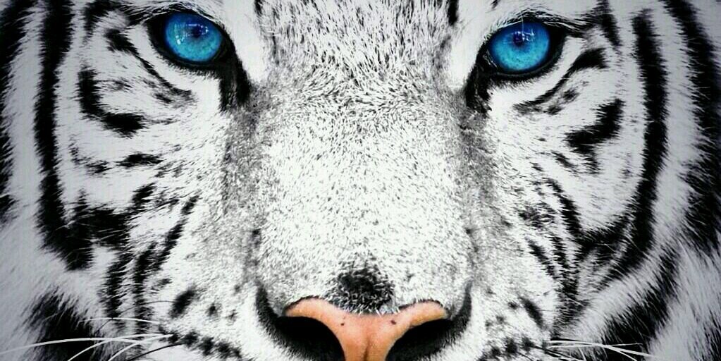 Loles133's profile banner image