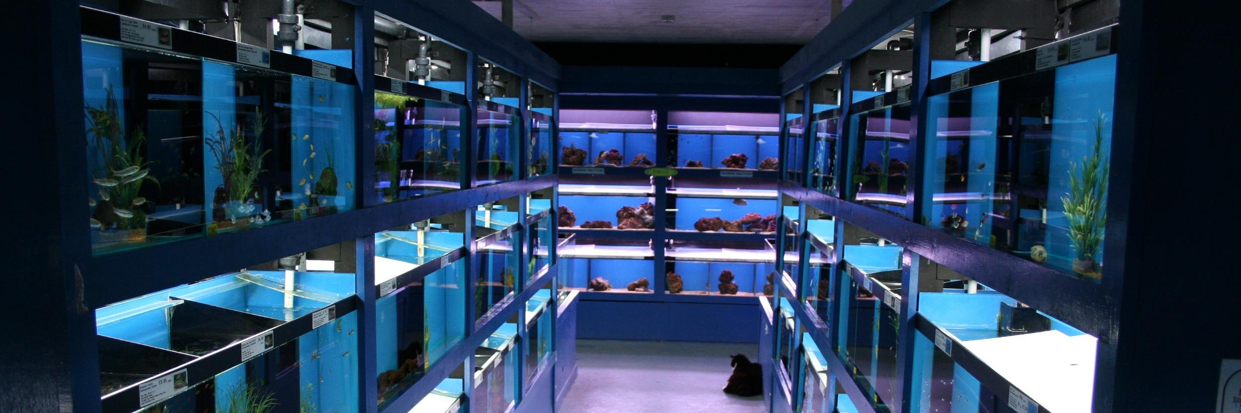 A5Aquatics's profile banner image