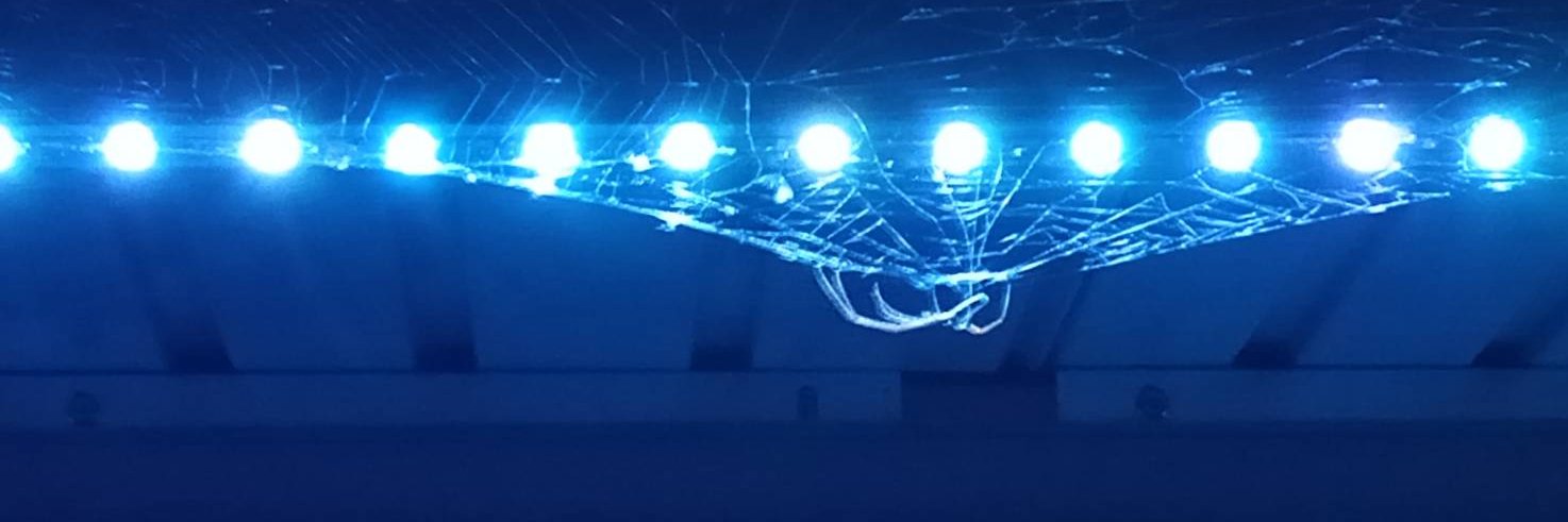 North240's profile banner image