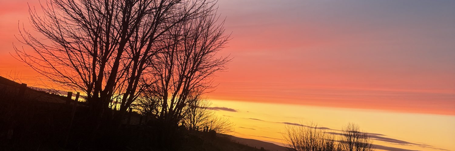 justcallmechloo's profile banner image