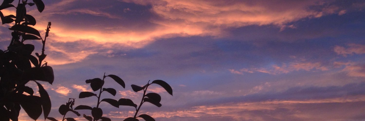 rapi_alice's profile banner image