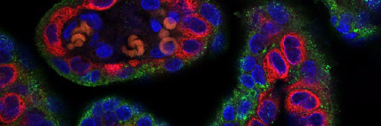 biologist_bec's profile banner image