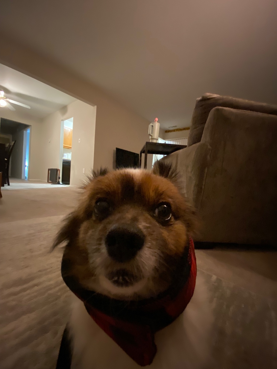 AnthonyB_turnt's profile banner image