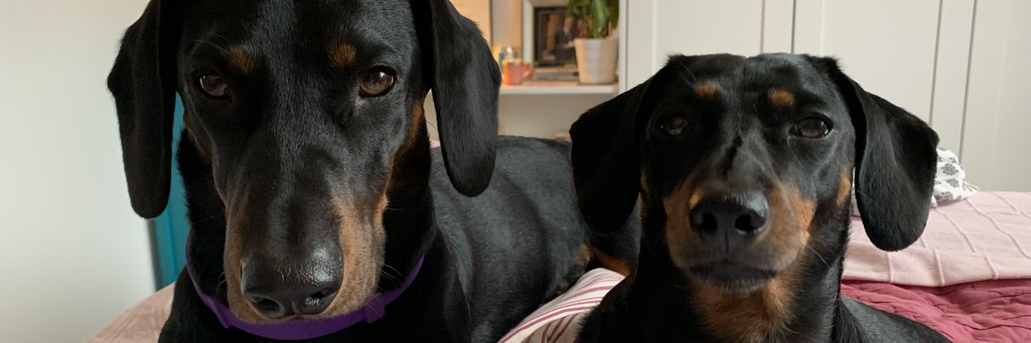 LongandFerguson's profile banner image
