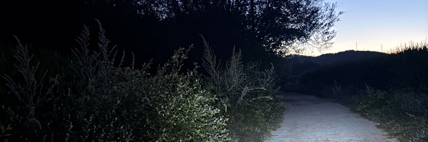 Micha_Mathis's profile banner image