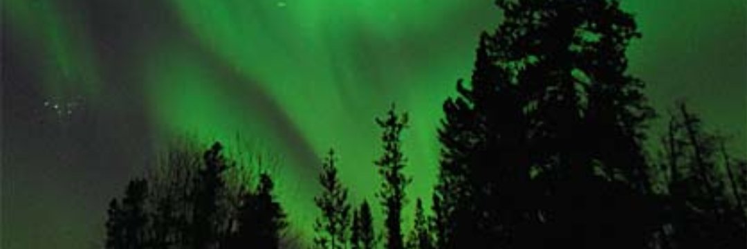 LarryBird_504's profile banner image