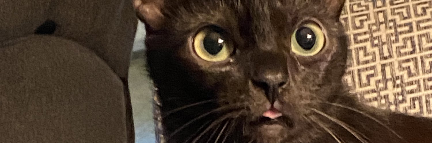 Sammy banner