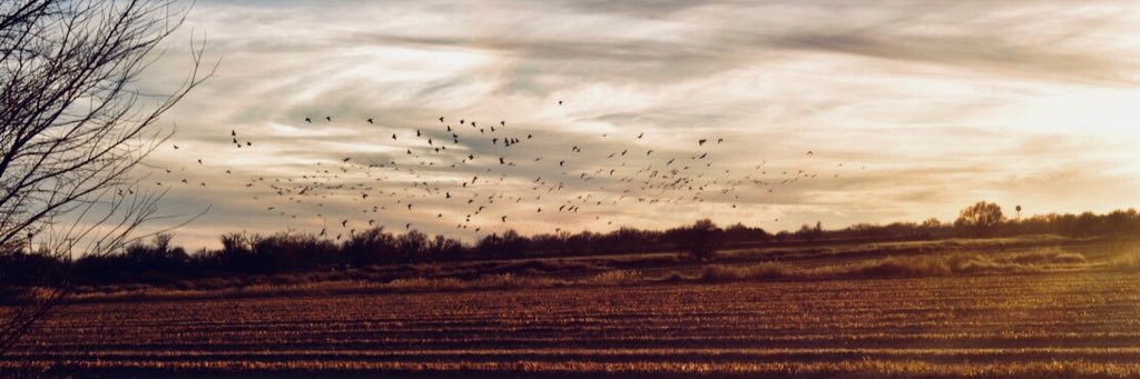 Haydensimmons's profile banner image