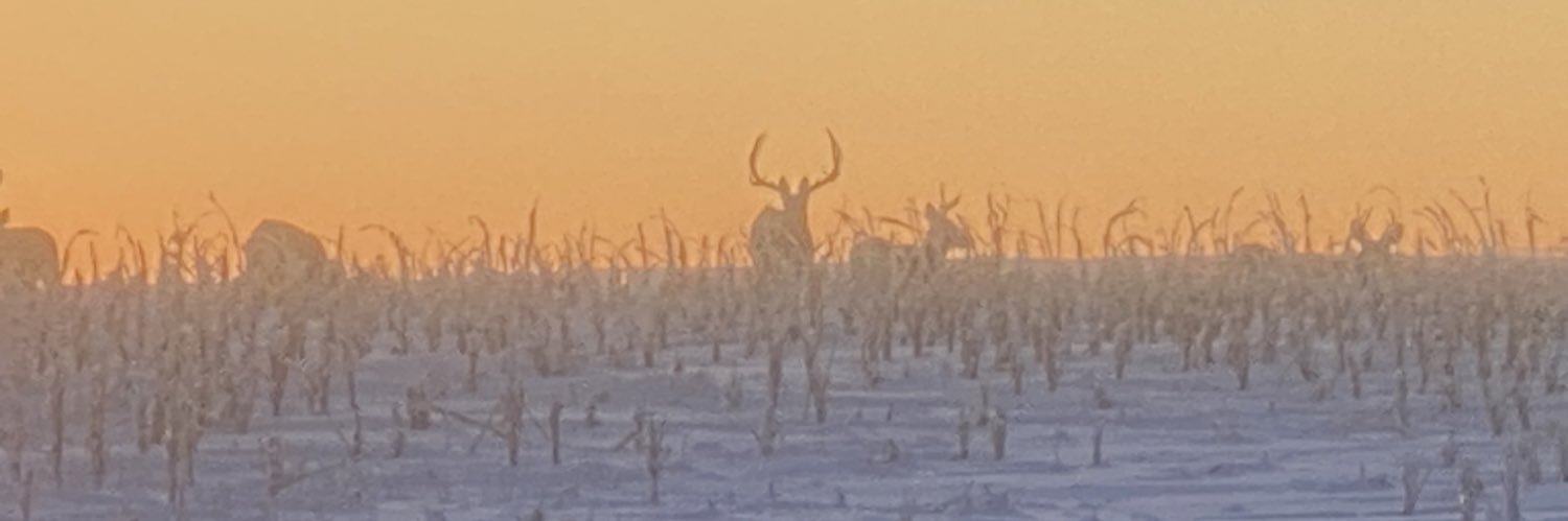 Lonewolfbiscuit's profile banner image