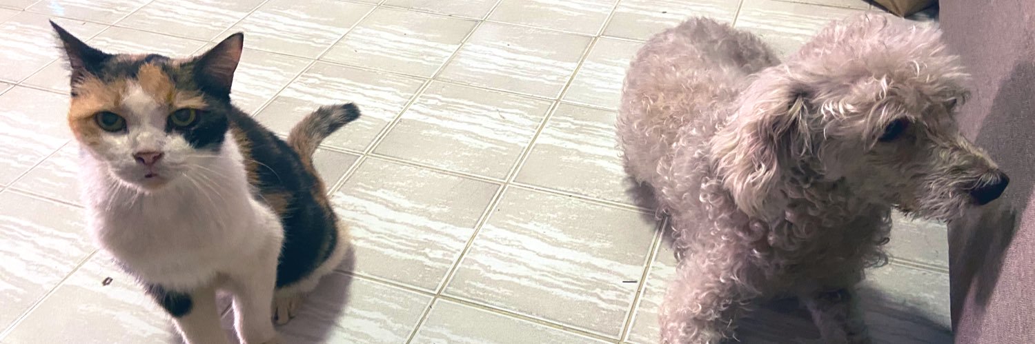 พุ้งลิ้ง banner