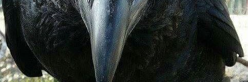 david_winnie188's profile banner image