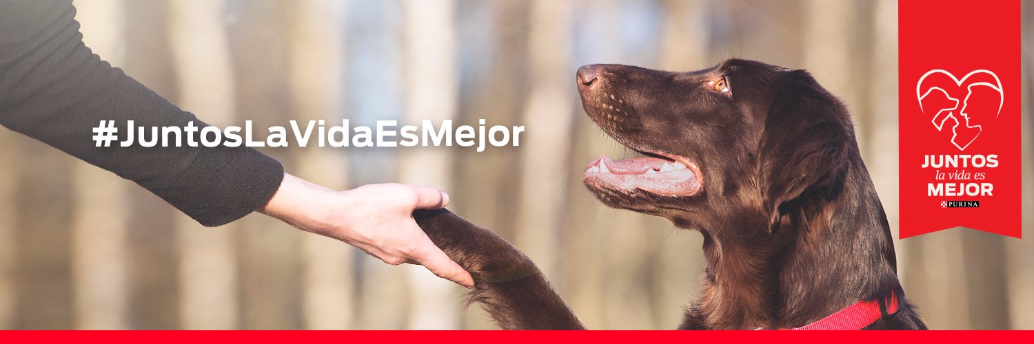 Purina España banner