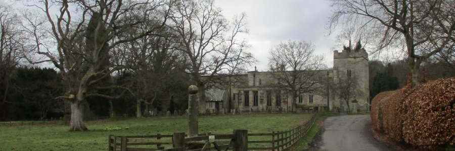 Scott banner