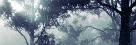 M20001206's profile banner image