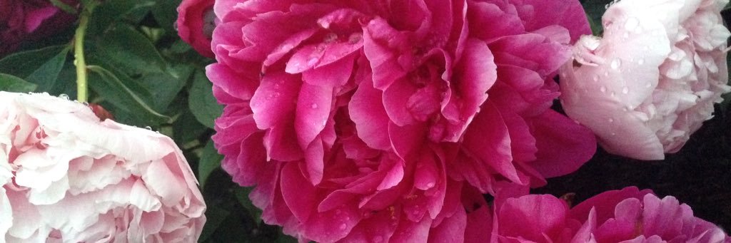 Jennifer Mallette banner