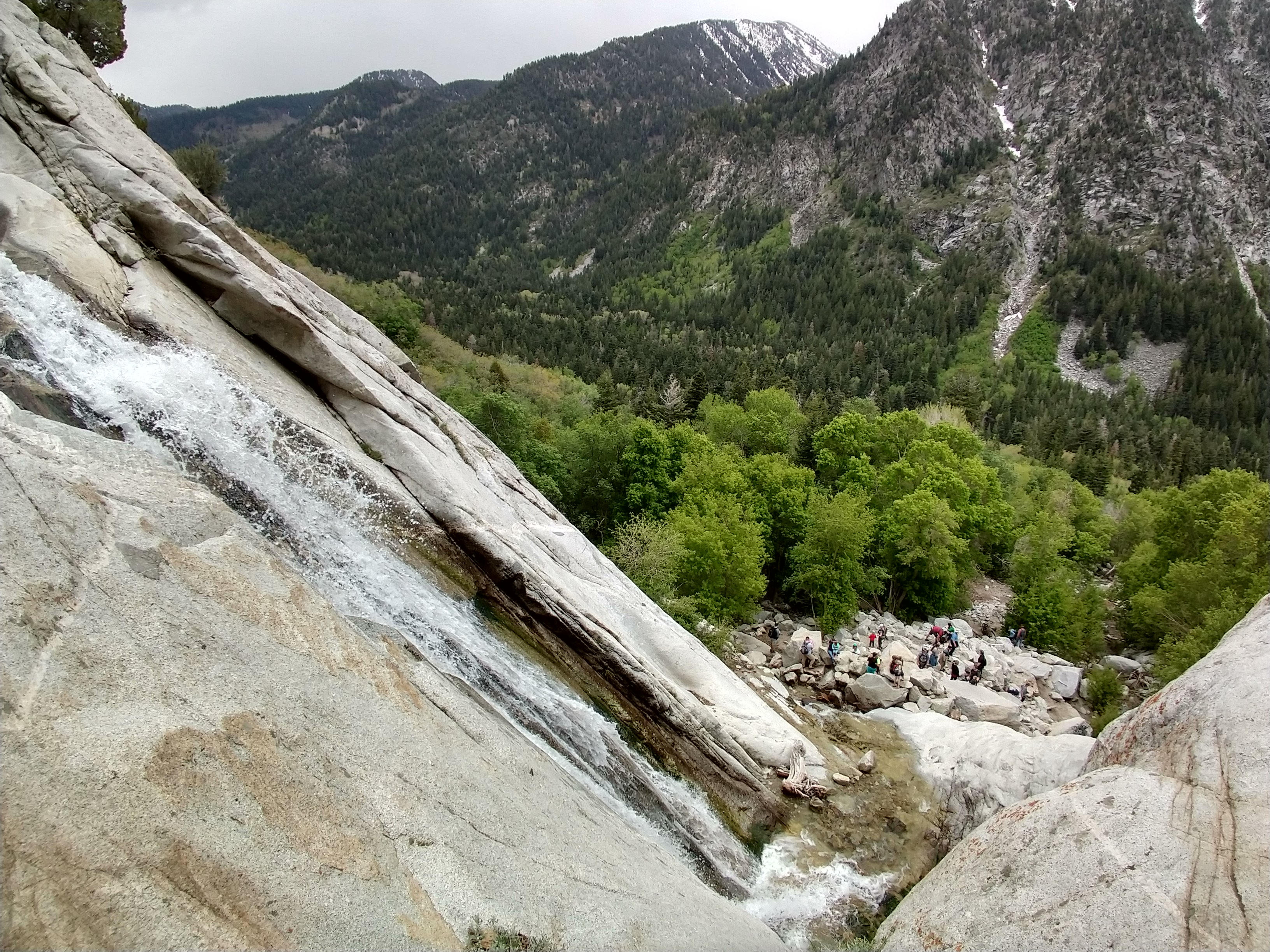 Bryan Murdock banner