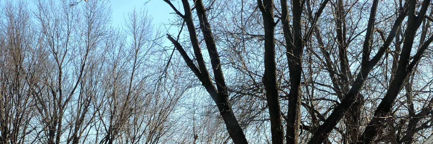 tsatrom's profile banner image