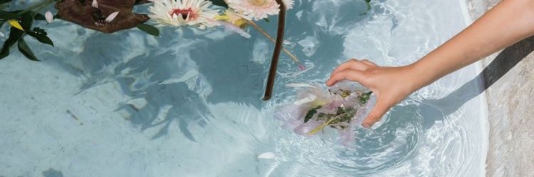 jidapuipui's profile banner image