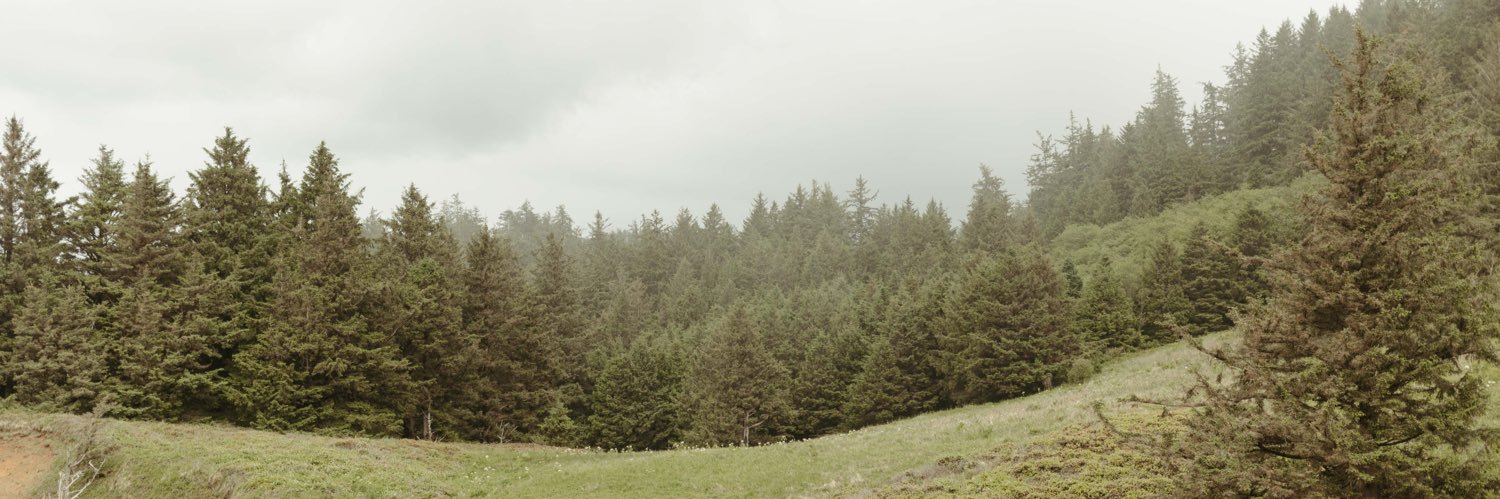 sarahhramiirez's profile banner image