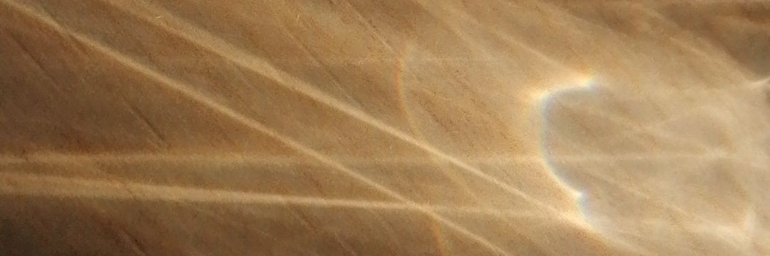 Sandra_Bear2000's profile banner image